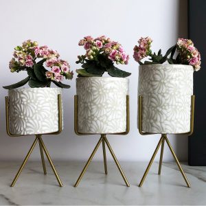 Macetitas Ananda White Cotton