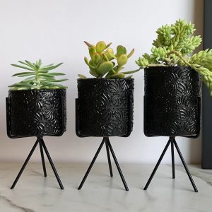 Macetitas Ananda Caviar